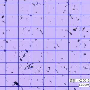 Grinding Chip size_Fine particles (10 μm to 100 μm)